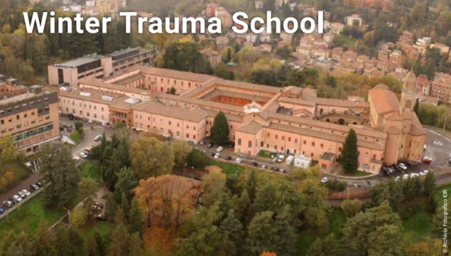 Winter Trauma School