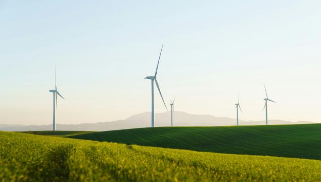 From Environment to Circular Economy: Emilia-Romagna’s Sustainable Strategy