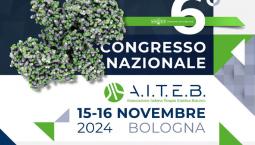 Congresso Nazionale AITEB 2024